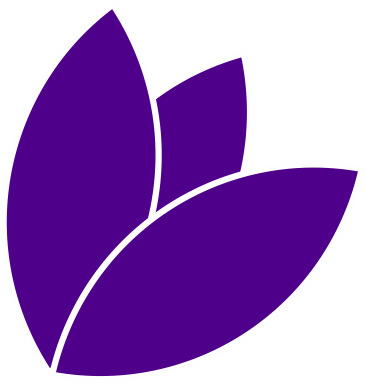 bài viết thử