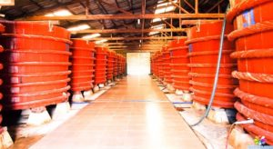 Tôi Có Thể Mua Đặc Sản Gì Làm Quà Tặng Khi Rời Phú Quốc?