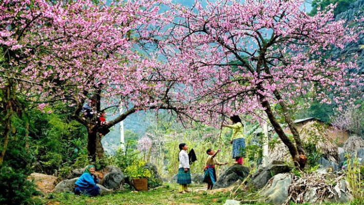 CHO THUÊ HƯỚNG DẪN VIÊN DU LỊCH TRUYỀN THỐNG TIẾNG VIỆT TẠI HÀ GIANG
