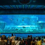 GIÁ VÉ VINWONDER VINPEARL NHA TRANG ƯU ĐÃI HẤP DẪN NHẤT NĂM